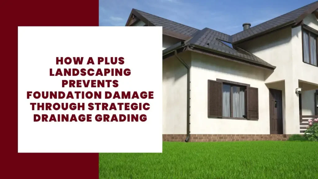 How A Plus Landscaping Prevents Foundation Damage Through Strategic Drainage Grading